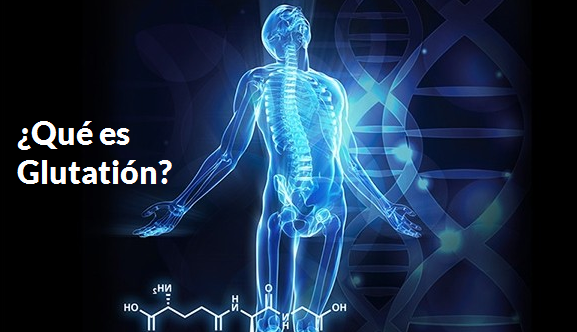 ¿Qué es Glutatión?